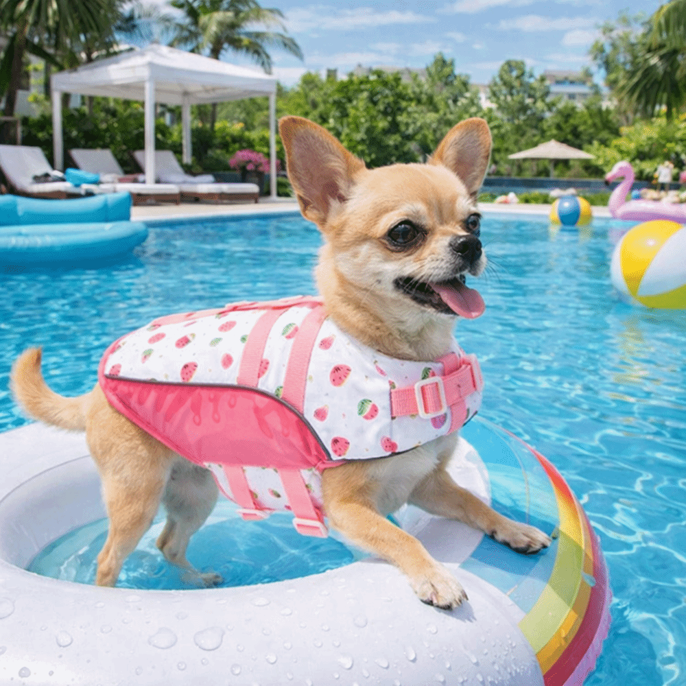 Life Jacket Buoyancy - Colete Salva-Vidas Ajustável para Cães: Alta