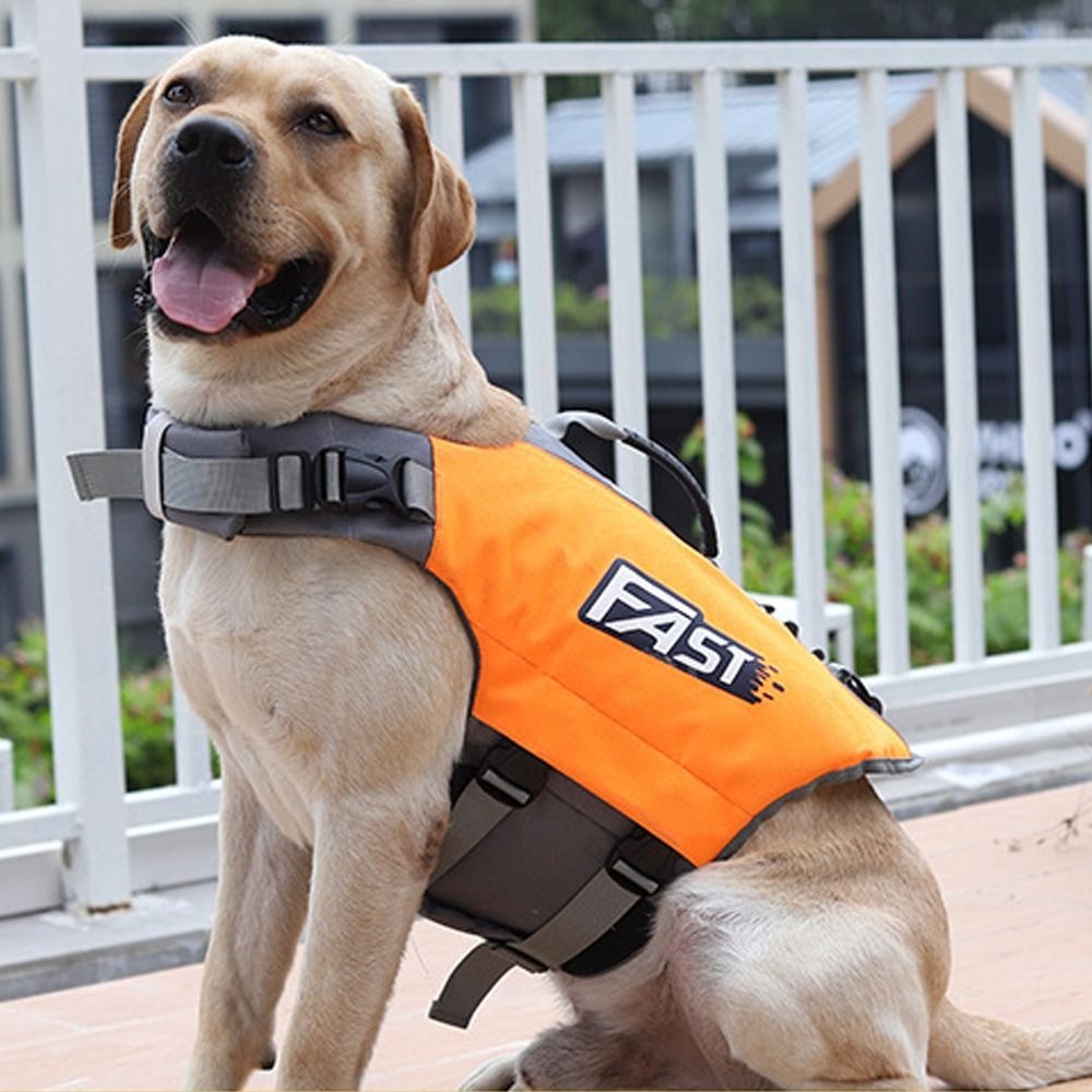 Colete salva-vidas ajustável p - Life Jacket Buoyancy avaliação e preço